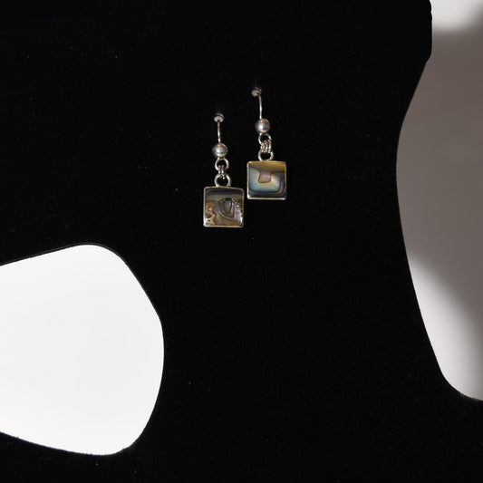 Abalone Earrings 950 Silver Mother of Pearl Peru Sacred Valley 52510 - Shaman Things