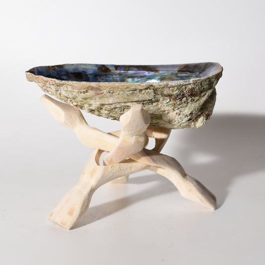 Abalone Shell with Wooden Cobra Tripod