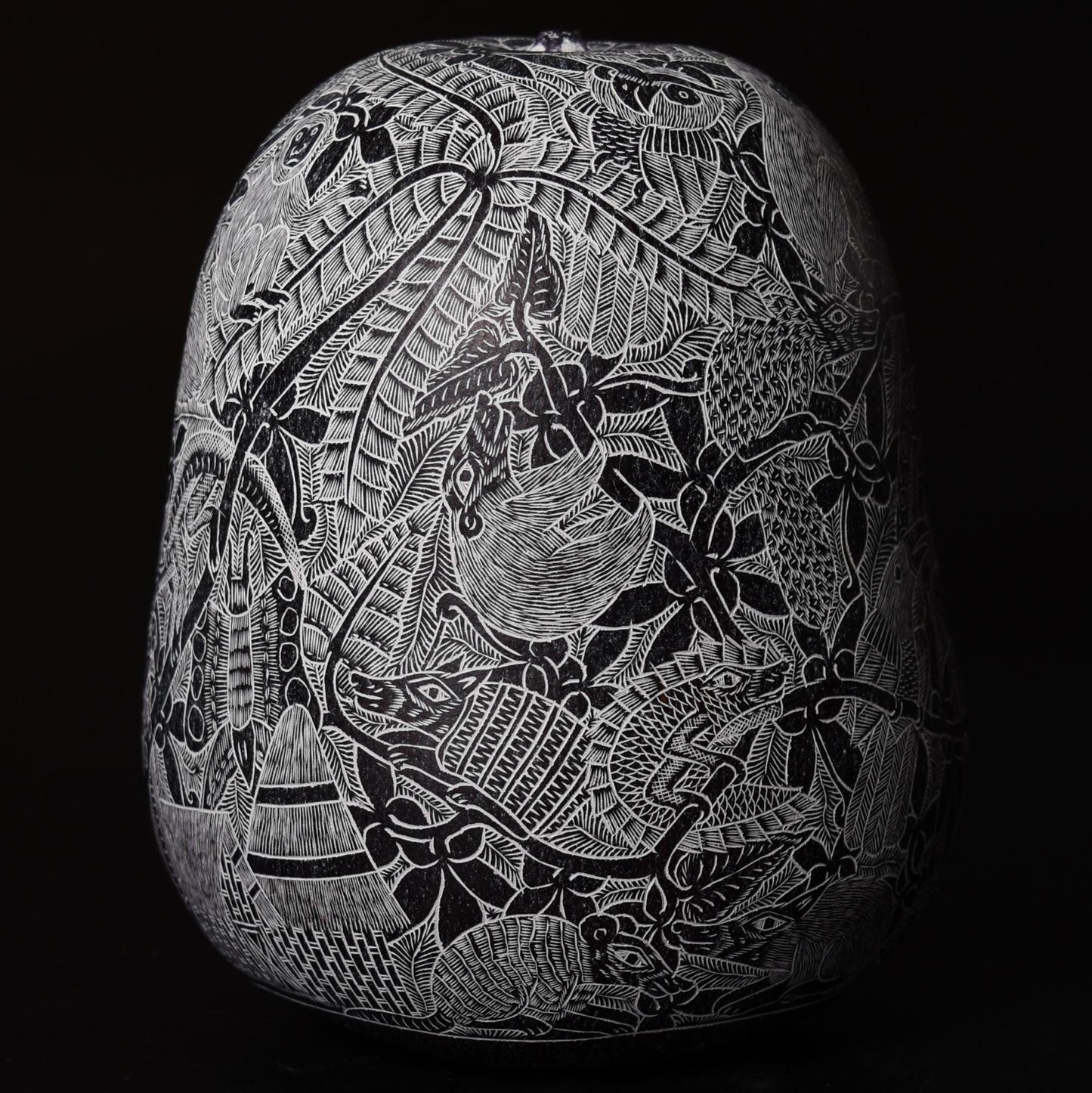 Folk Art Carved Gourd Jungle Animals Birds hand carved Sacred Valley Peru G52513