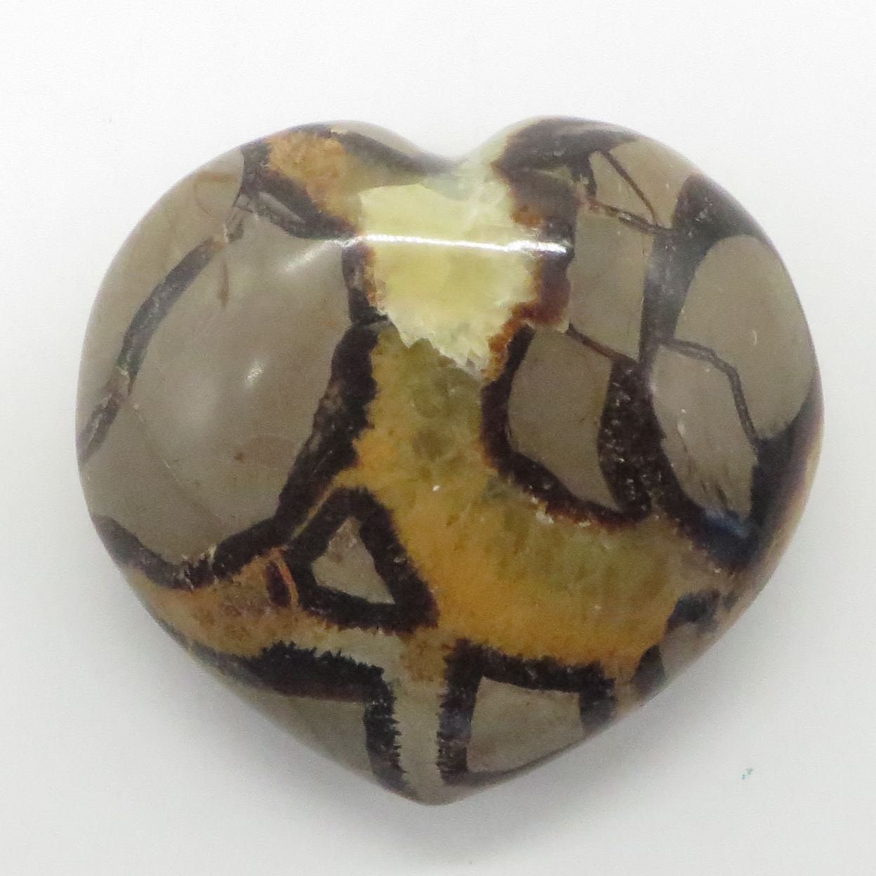 Septarian Jasper Heart 2 1/2" wide 2 1/4" tall LWHSJ101