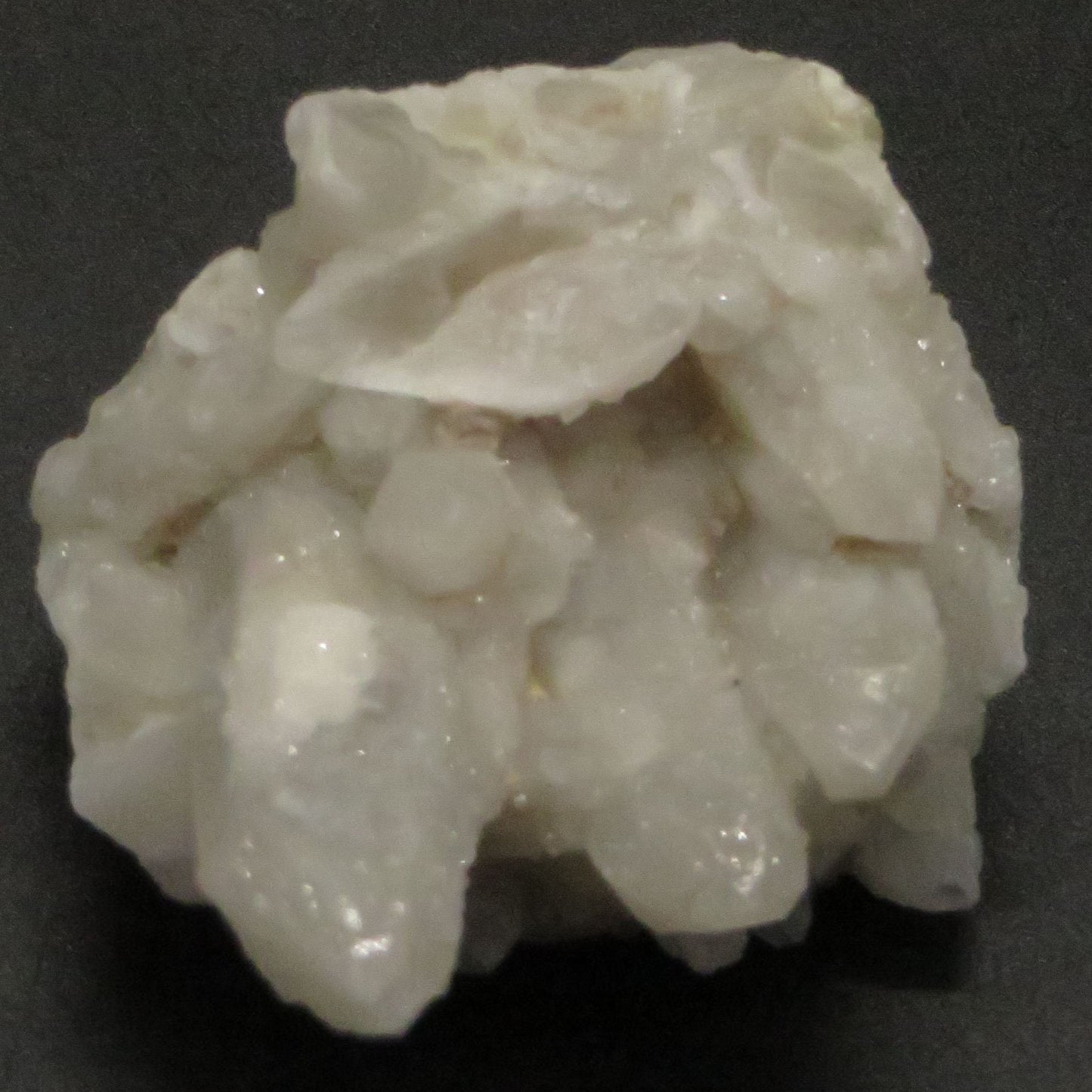 White Spirit Quartz crystal specimen 2" tall, 2 1/4" wide 95 grams LWSQ103
