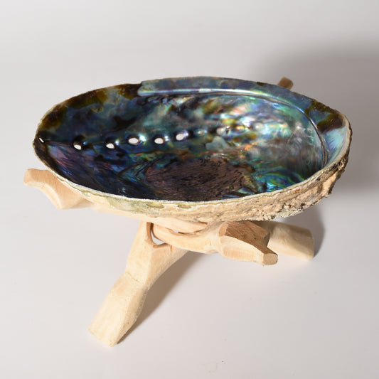 Abalone Shell with Wooden Cobra Tripod
