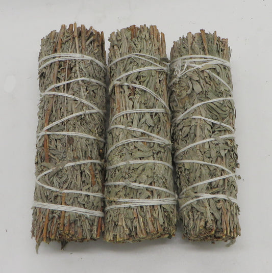 California Blue Sage Bundle Small 3-pack