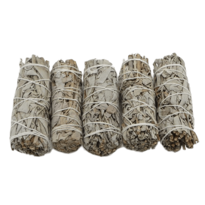 California White Sage Bundle Small 5 - pack - Shaman Things