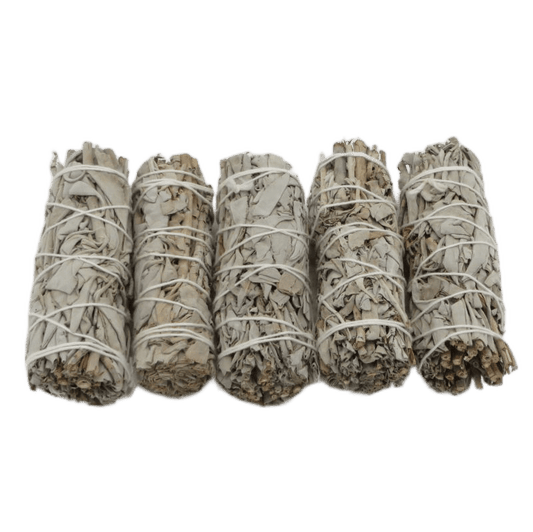 California White Sage Bundle Small 5 - pack - Shaman Things