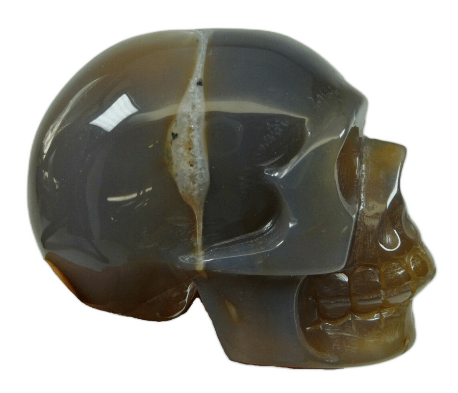 Polished Agate Crystal Skull - Shaman Things