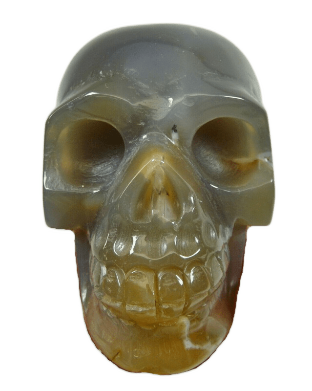 Polished Agate Crystal Skull - Shaman Things