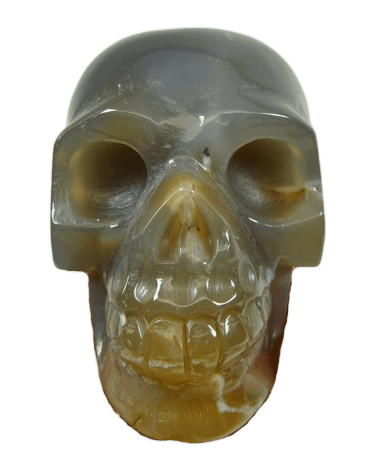 Polished Agate Crystal Skull - Shaman Things