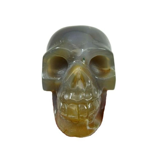Polished Agate Crystal Skull - Shaman Things