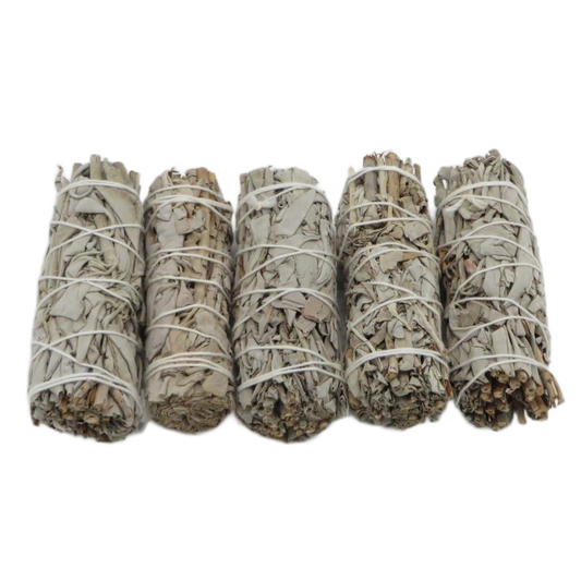 California White Sage Bundle Small 5-pack