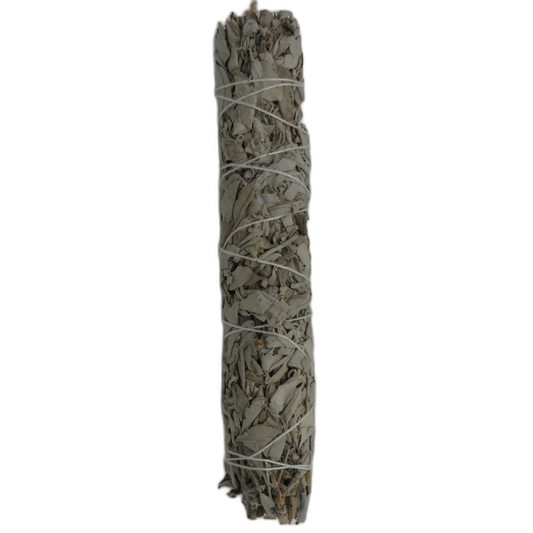 California White Sage Large